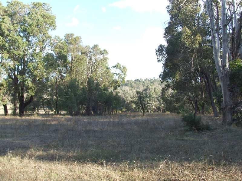 Lot 1184, Rowe Street, Collie WA 6225