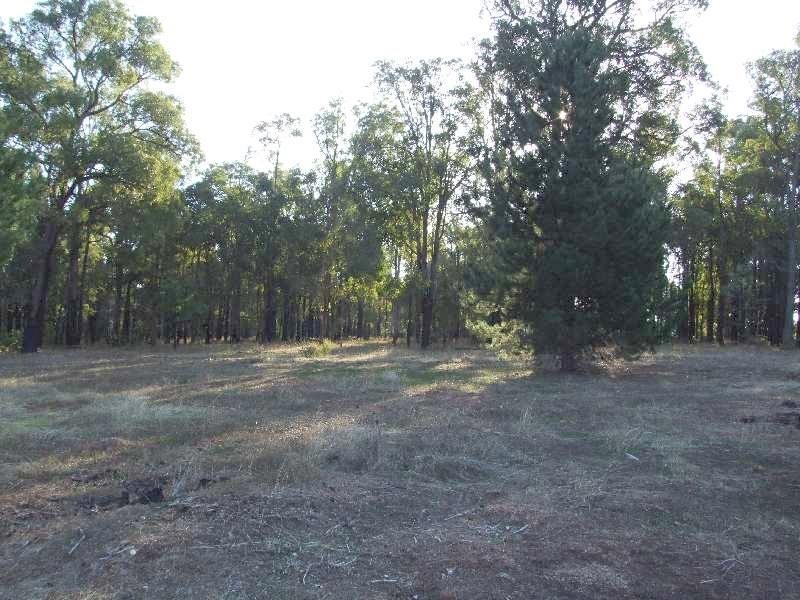 Lot 1184, Rowe Street, Collie WA 6225