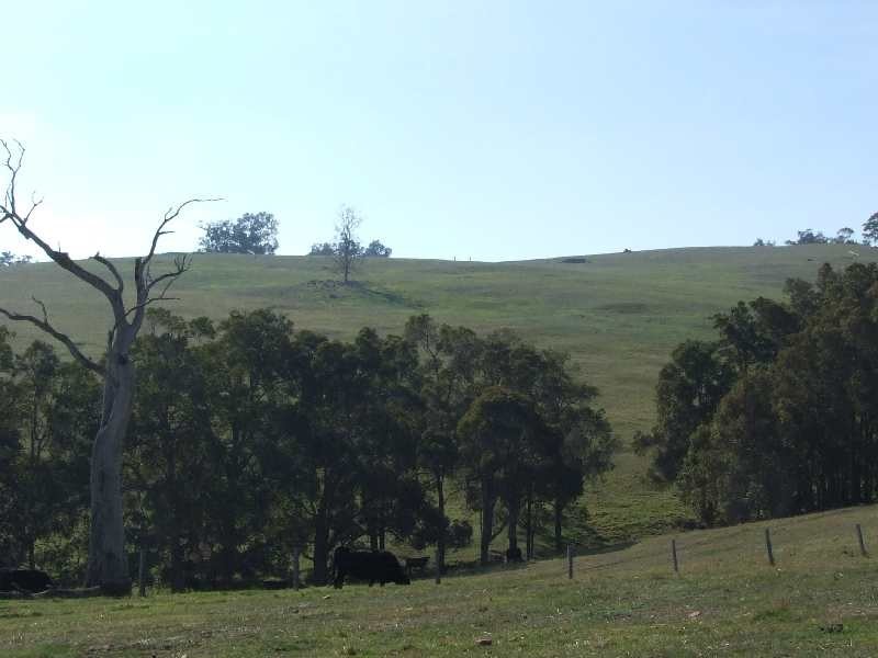 Lot 22,  Thomas, Donnybrook WA 6239
