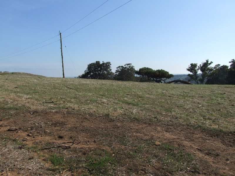 Lot 22,  Thomas, Donnybrook WA 6239