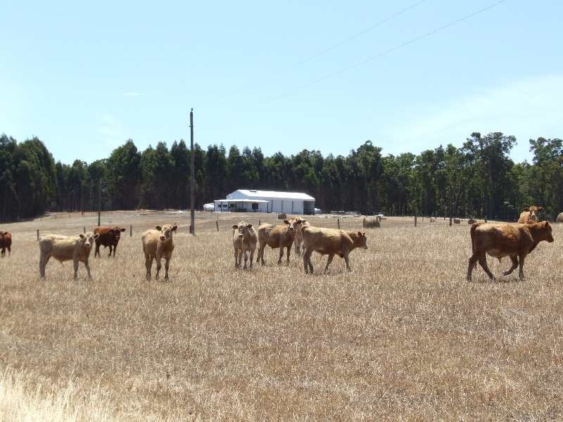 Lot 2, Hundley Road, Donnybrook WA 6239