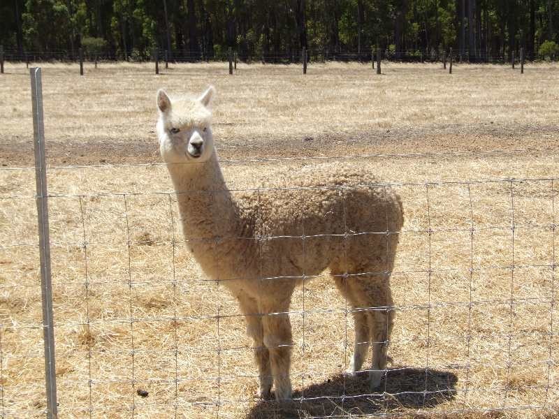 Lot 2, Hundley Road, Donnybrook WA 6239