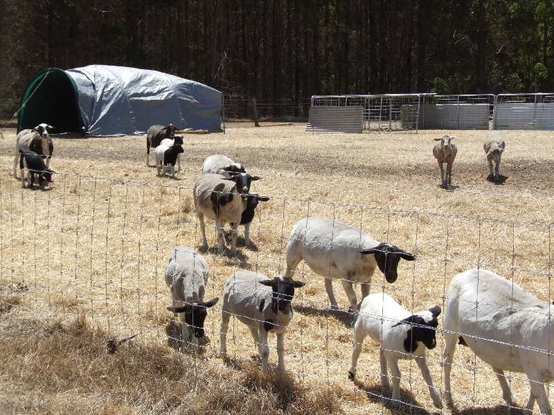 Lot 2, Hundley Road, Donnybrook WA 6239