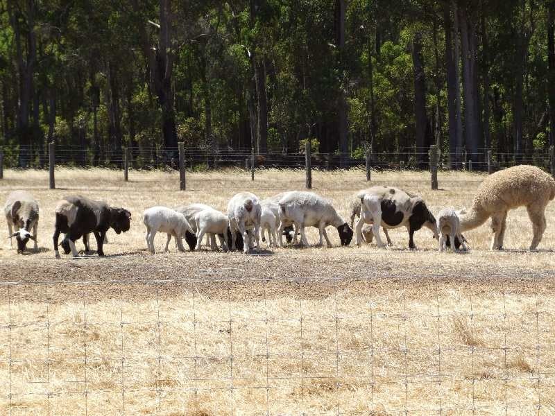 Lot 2, Hundley Road, Donnybrook WA 6239