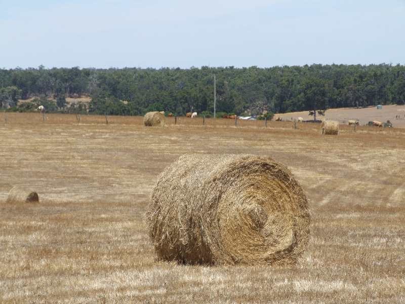 Lot 2, Hundley Road, Donnybrook WA 6239