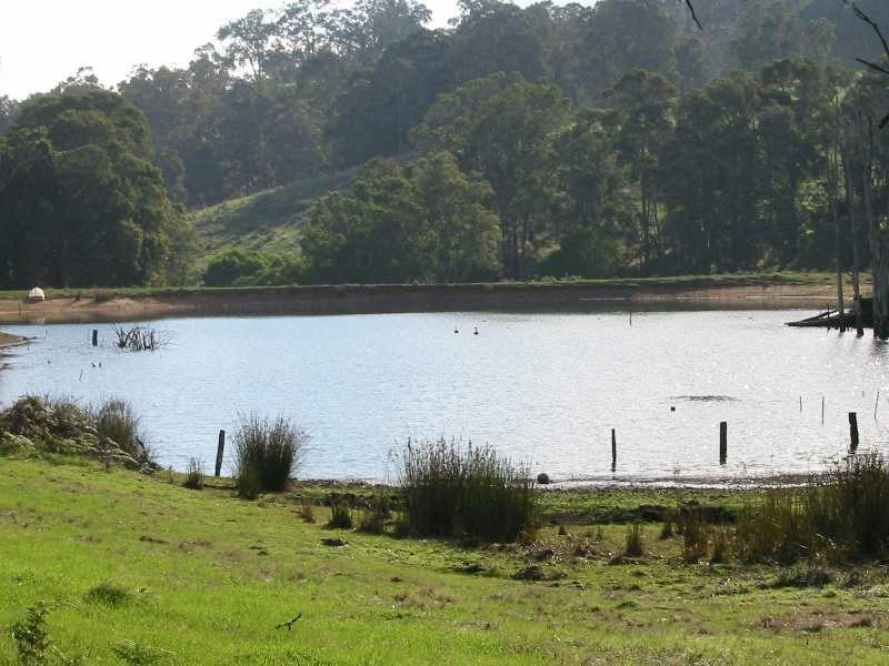 Lot 5, 276 Bangadang, Donnybrook WA 6239