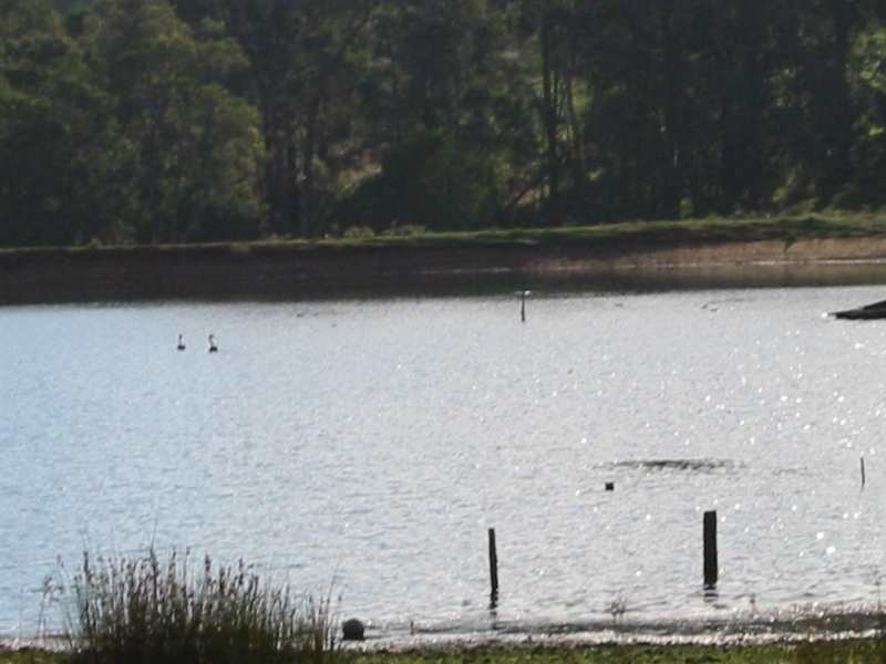 Lot 5, 276 Bangadang, Donnybrook WA 6239