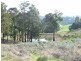 Lot 5, 276 Bangadang, Donnybrook WA 6239