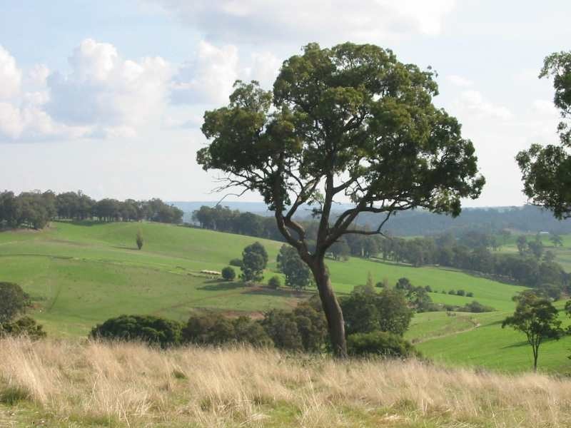 Lot 5, 276 Bangadang, Donnybrook WA 6239