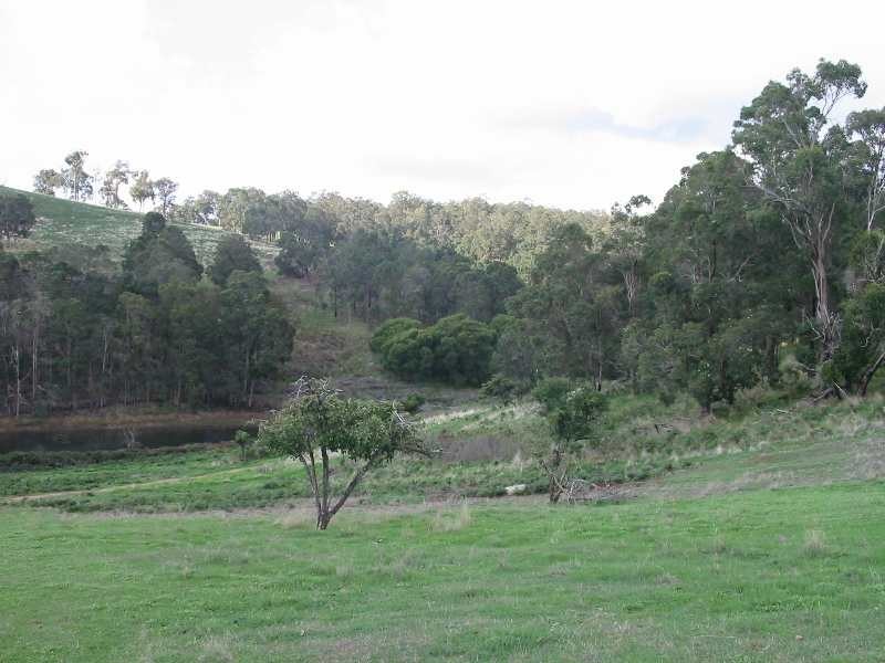 Lot 5, 276 Bangadang, Donnybrook WA 6239