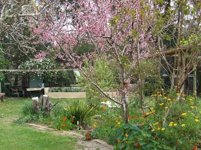 4 Hurst Rd, Boyanup WA 6237