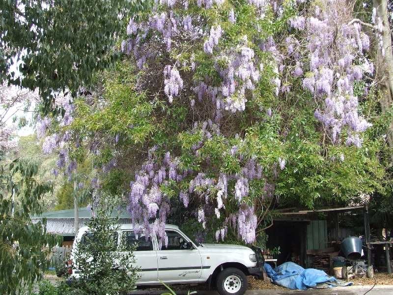 4 Hurst Rd, Boyanup WA 6237