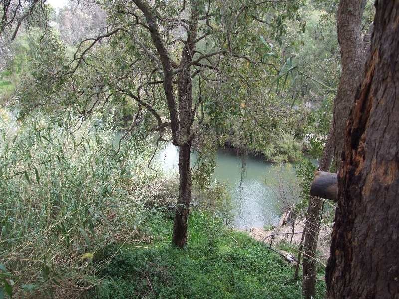 4 Hurst Rd, Boyanup WA 6237