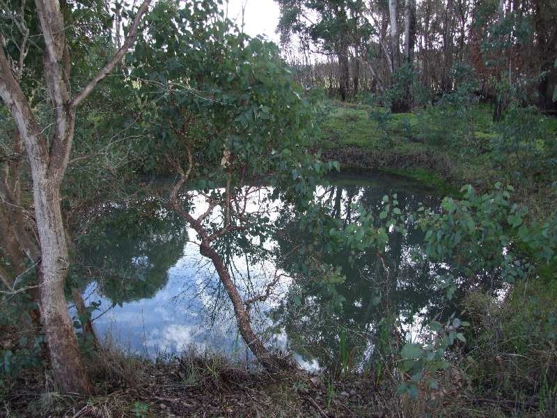 Lot 6, 6 South Western Highway, Mullalyup WA 6252