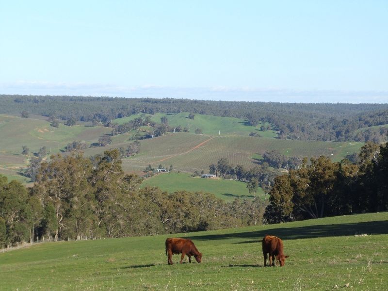 99 Carmichael Rd, Donnybrook WA 6239