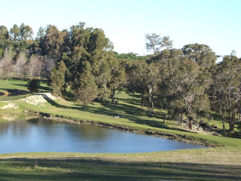 99 Carmichael Rd, Donnybrook WA 6239