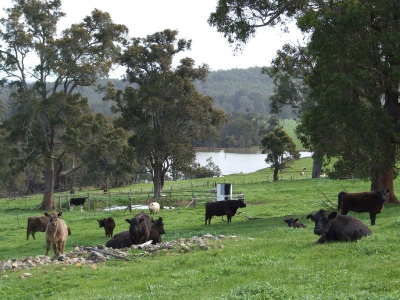 Lot 8100,  Price Rd, Donnybrook WA 6239