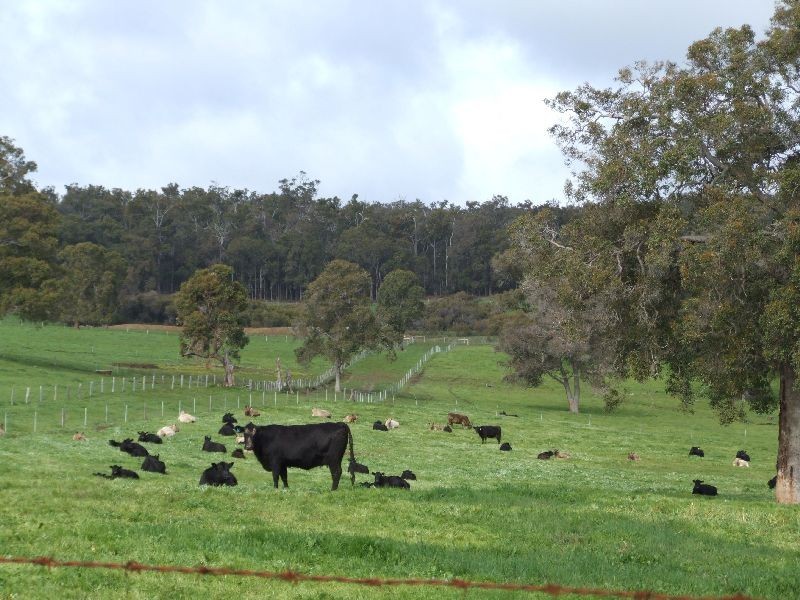 Lot 8100,  Price Rd, Donnybrook WA 6239