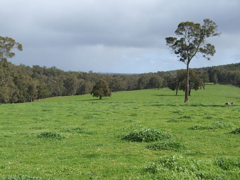 Lot 8100,  Price Rd, Donnybrook WA 6239