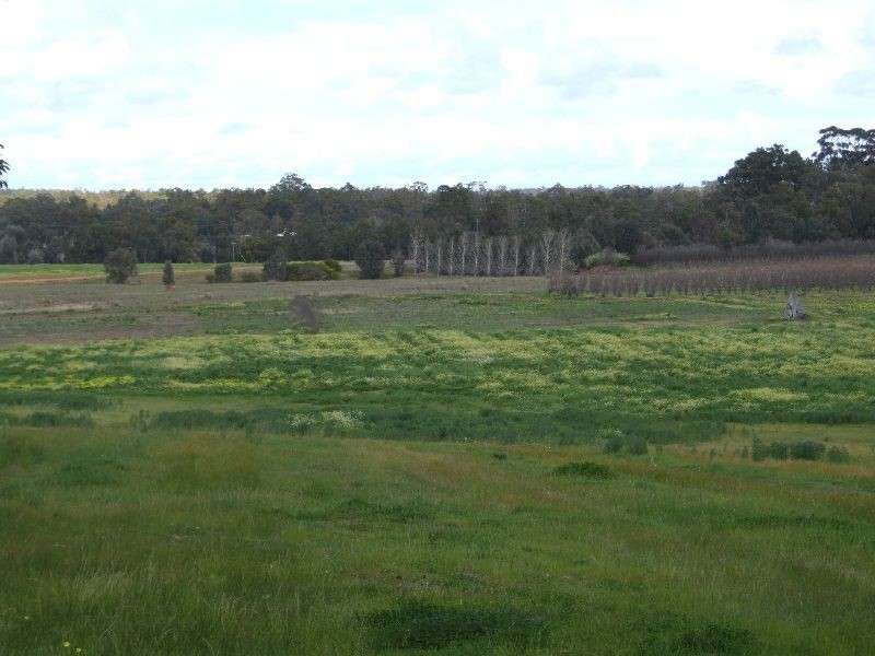 Lot 146,  Hamilton St, Donnybrook WA 6239