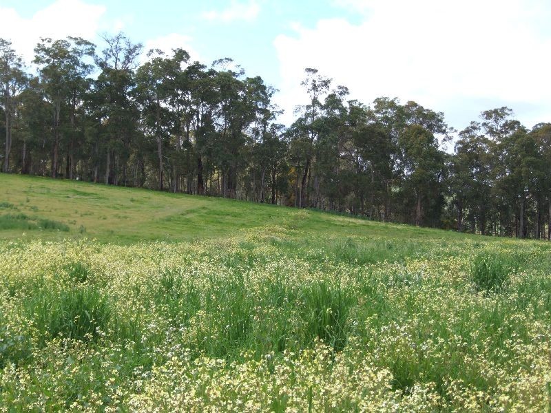 Lot 147,  Fowler St, Donnybrook WA 6239