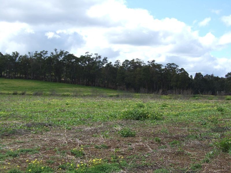 Lot 147,  Fowler St, Donnybrook WA 6239