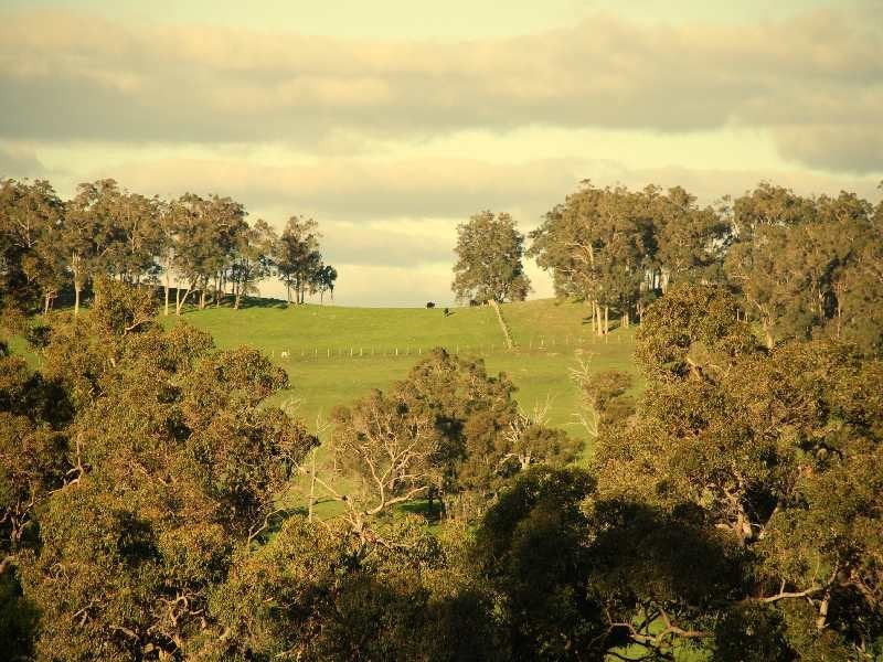 130 Upper Capel Road, Donnybrook WA 6239