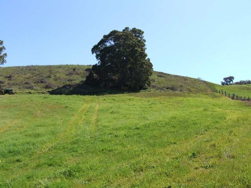 Lot 52,  warner, Mullalyup WA 6252