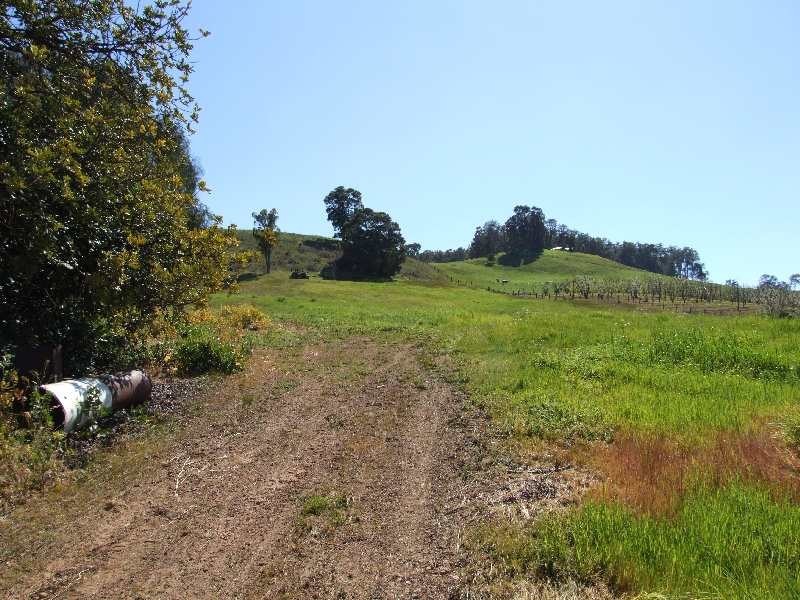 Lot 52,  warner, Mullalyup WA 6252