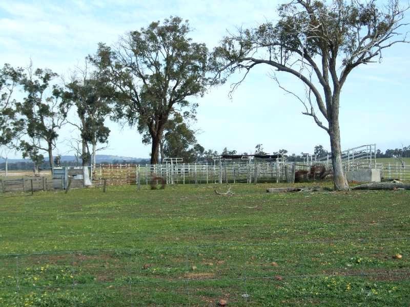 1853 Trigwell Bridge Rd, Bowelling WA 6225