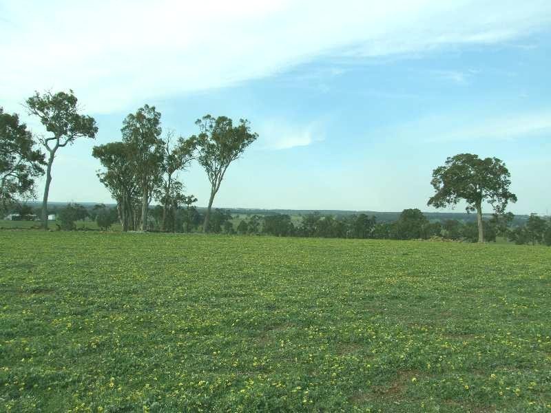 1853 Trigwell Bridge Rd, Bowelling WA 6225