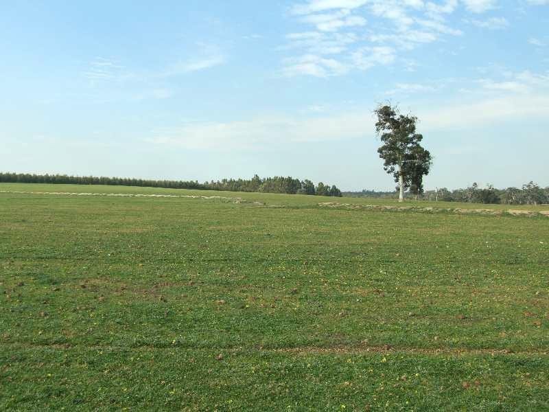 1853 Trigwell Bridge Rd, Bowelling WA 6225