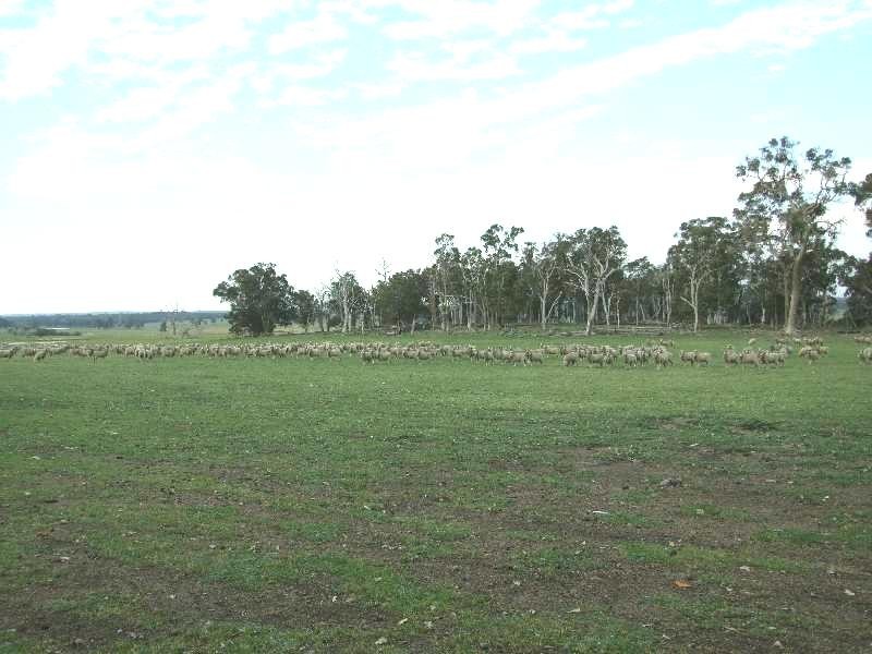 1853 Trigwell Bridge Rd, Bowelling WA 6225