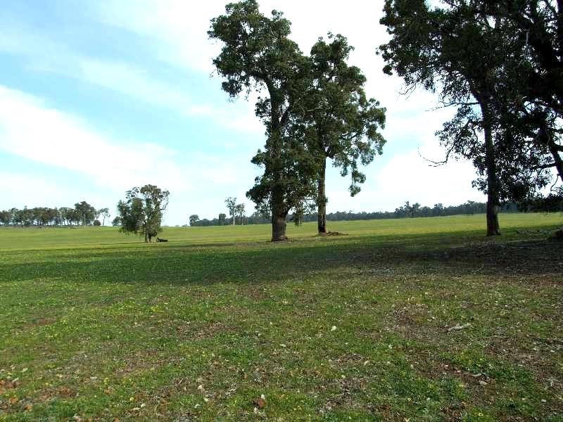 1853 Trigwell Bridge Rd, Bowelling WA 6225