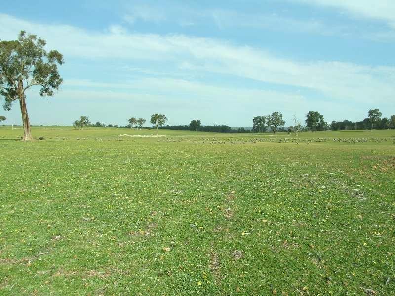 1853 Trigwell Bridge Rd, Bowelling WA 6225