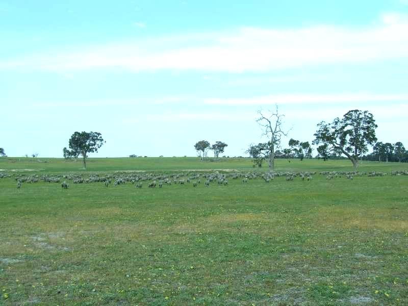 1853 Trigwell Bridge Rd, Bowelling WA 6225