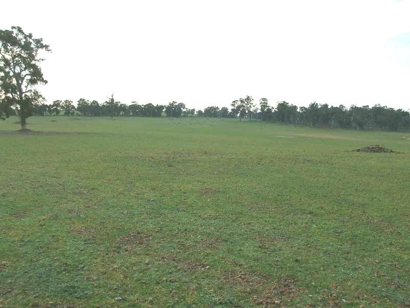 1853 Trigwell Bridge Rd, Bowelling WA 6225