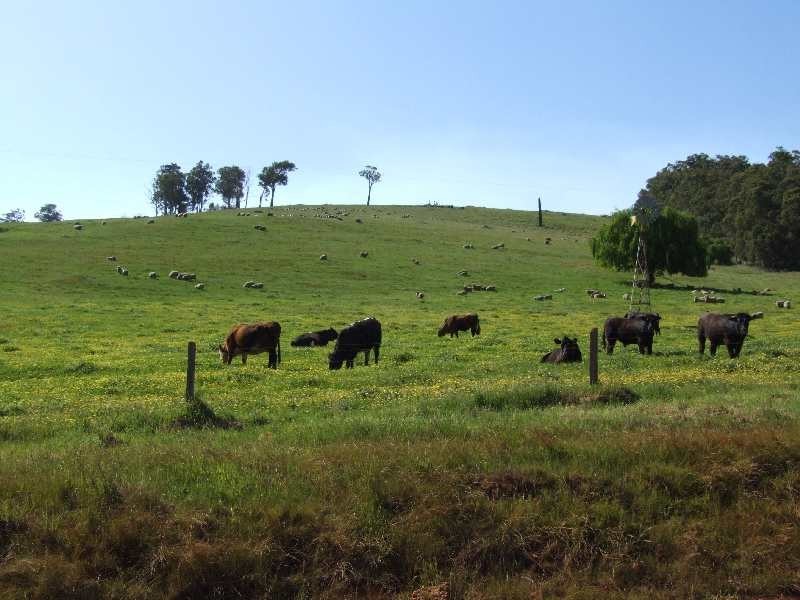 755 Southampton Road, Balingup WA 6253