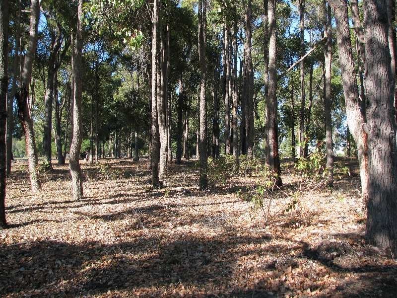 150 Gemmell Rd, Argyle WA 6239