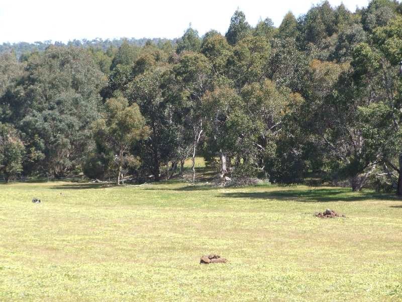 Lot 1,  Farley Rd, Donnybrook WA 6239