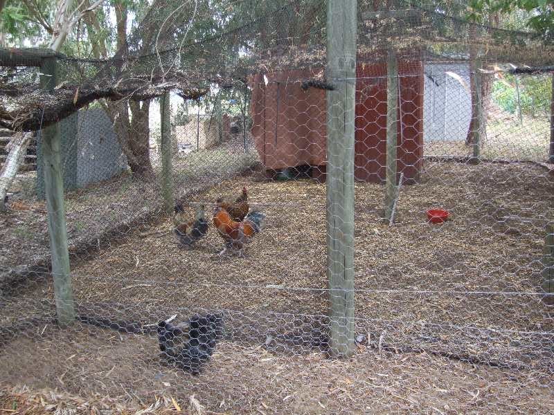 11 morgan, Donnybrook WA 6239