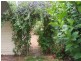 32 emerald, Donnybrook WA 6239