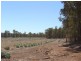 Lot 131,  Upper Capel Road, Donnybrook WA 6239