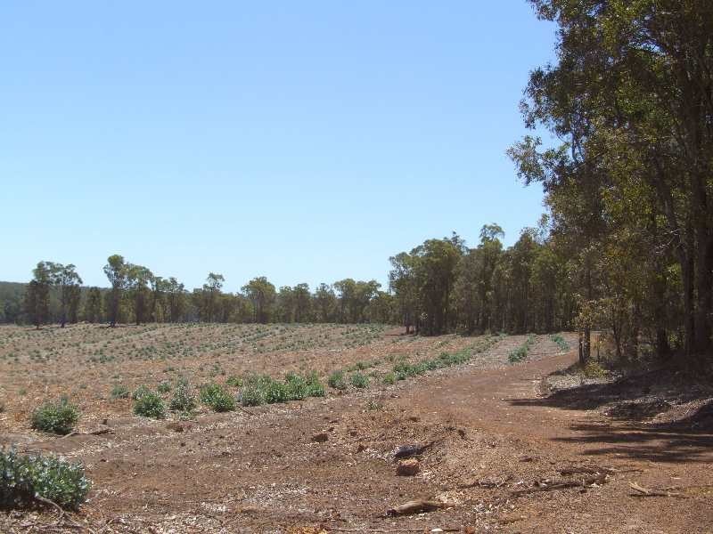 Lot 131,  Upper Capel Road, Donnybrook WA 6239