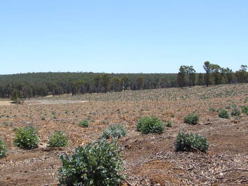 Lot 132,  Upper Capel Road, Donnybrook WA 6239