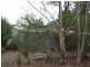 5 baxter, Kirup WA 6251