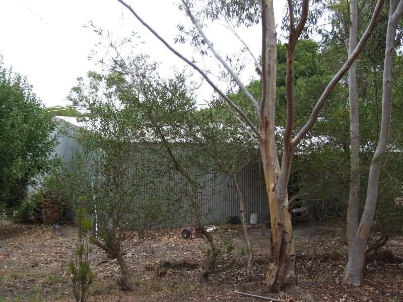 5 baxter, Kirup WA 6251