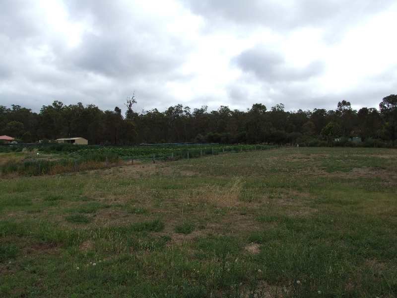 9 baxter, Kirup WA 6251