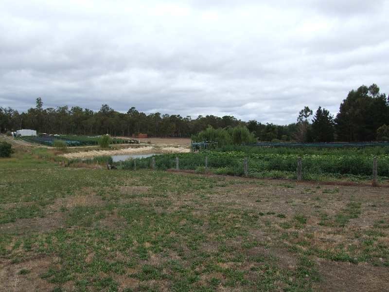 9 baxter, Kirup WA 6251