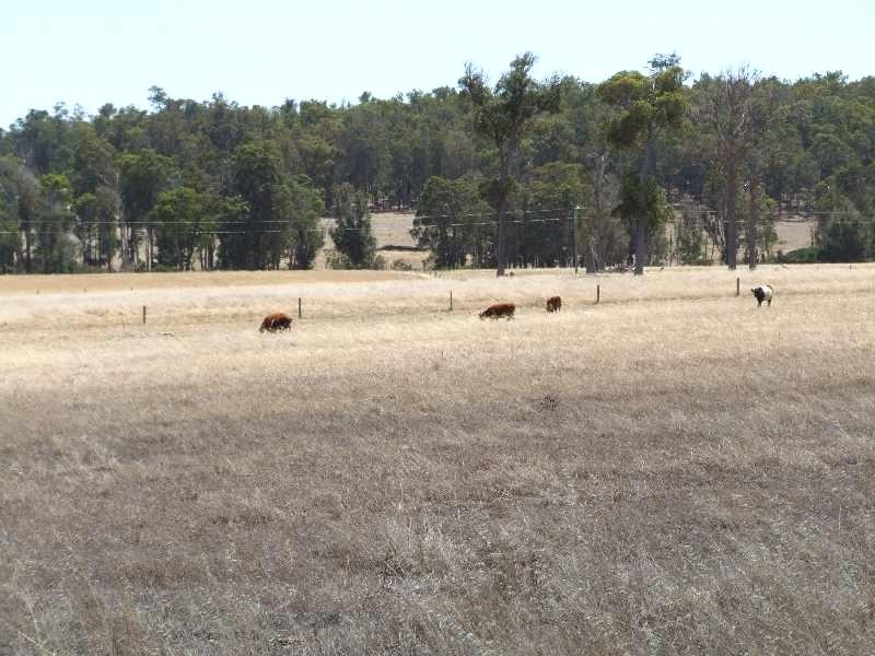 2441 Goodwood Road, Donnybrook WA 6239